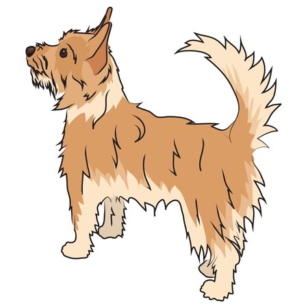 Signmission Portuguese Podengo Pequeno Dog Decal, Dog Lover Decor Vinyl Sticker D-12-Portuguese Podengo Pequeno